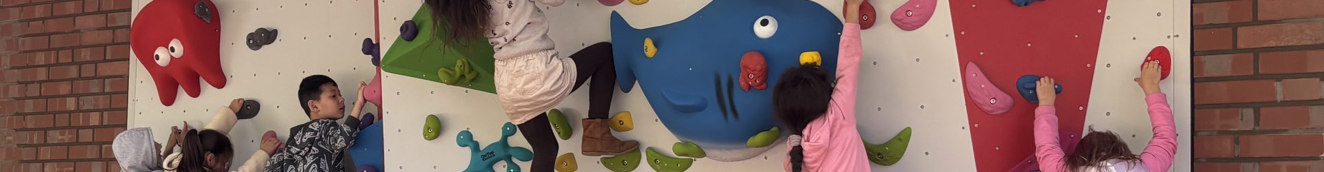 Bouldern am Ohrnsweg -Unsere neuen Boulderwand ist eröffnet!