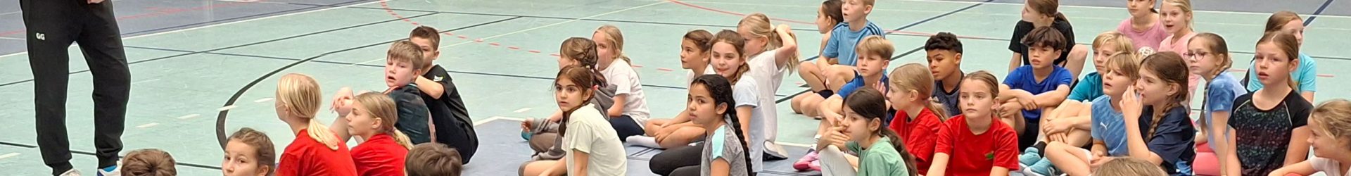 Volleyball Grundschulcup
